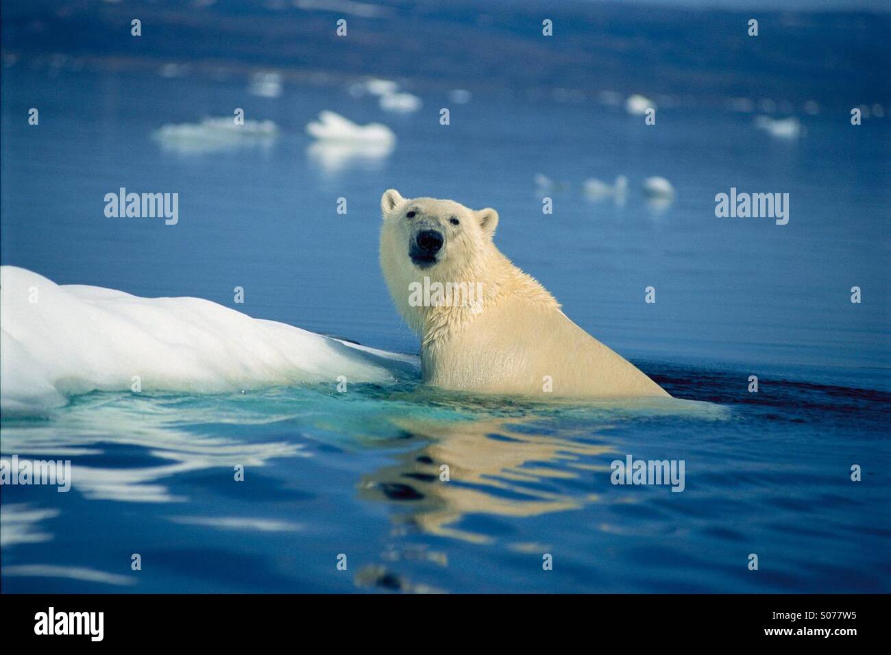 Stop Global Warming, and save Mother Earth Stock Photo