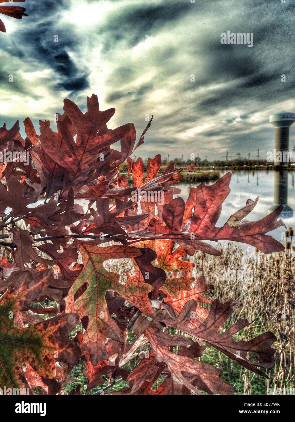 Limbs fall hi-res stock photography and images - Alamy