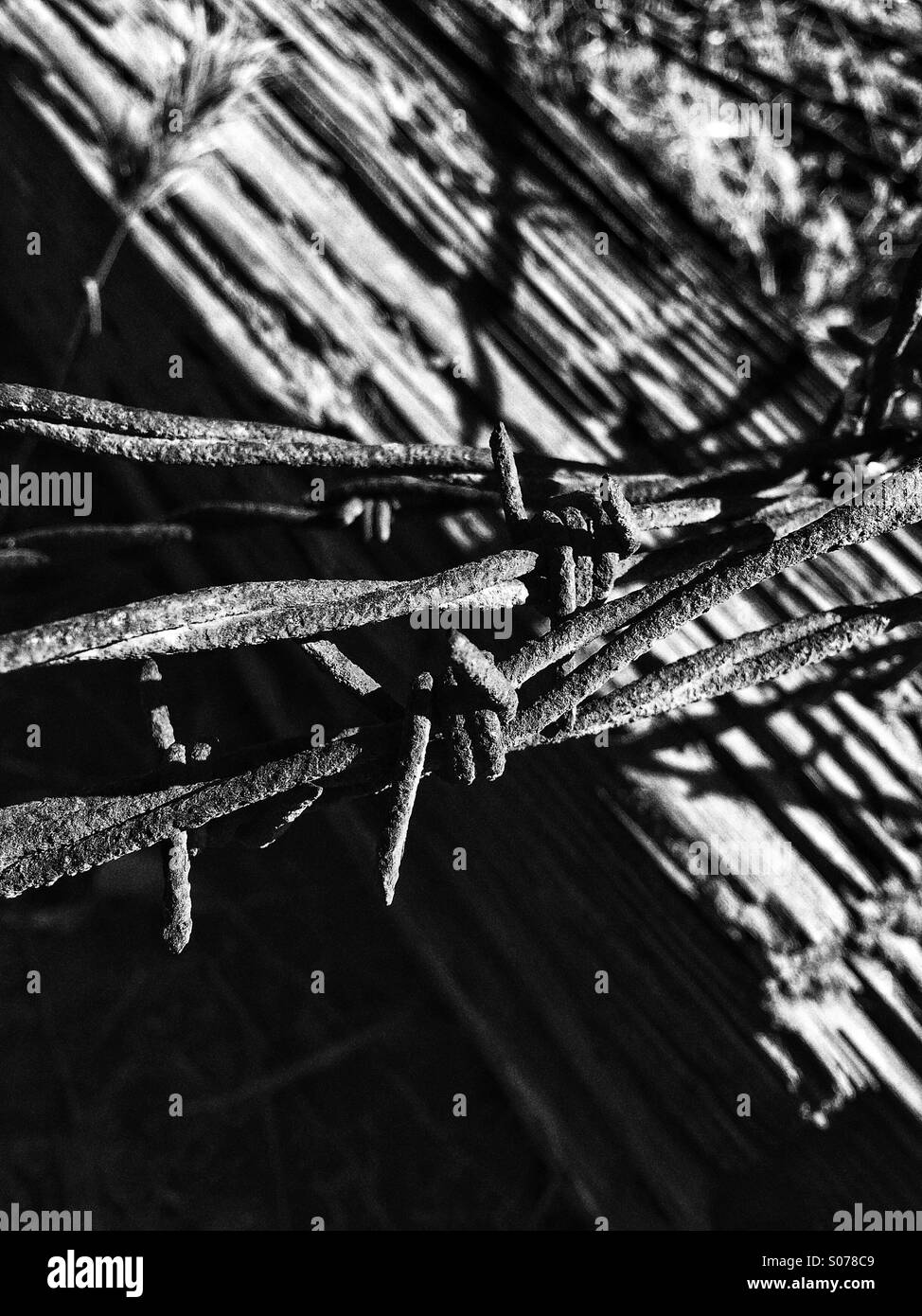Old fence post barbed wire Black and White Stock Photos & Images - Alamy