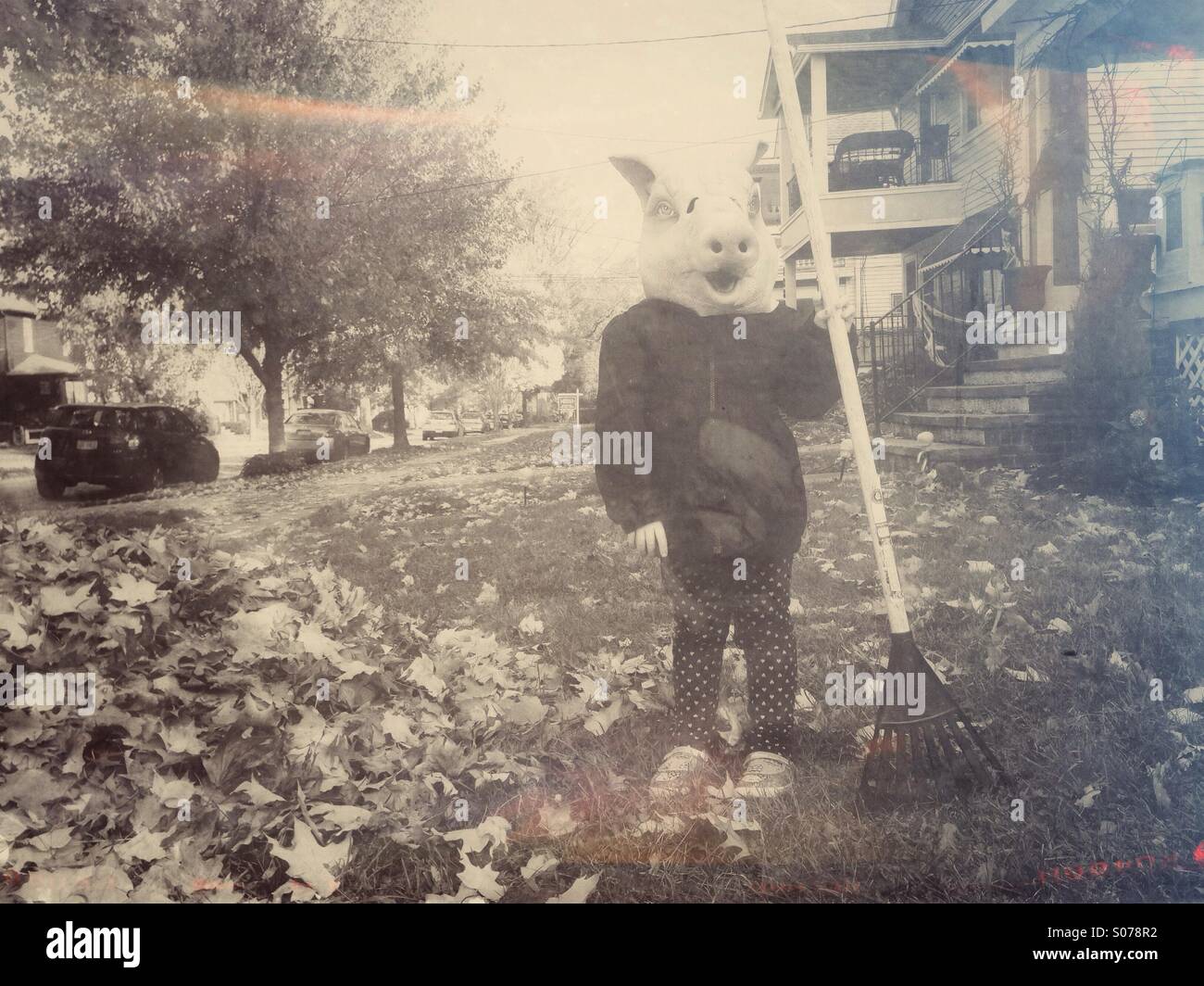 Creepy girl in pig mask with rake Stock Photo - Alamy