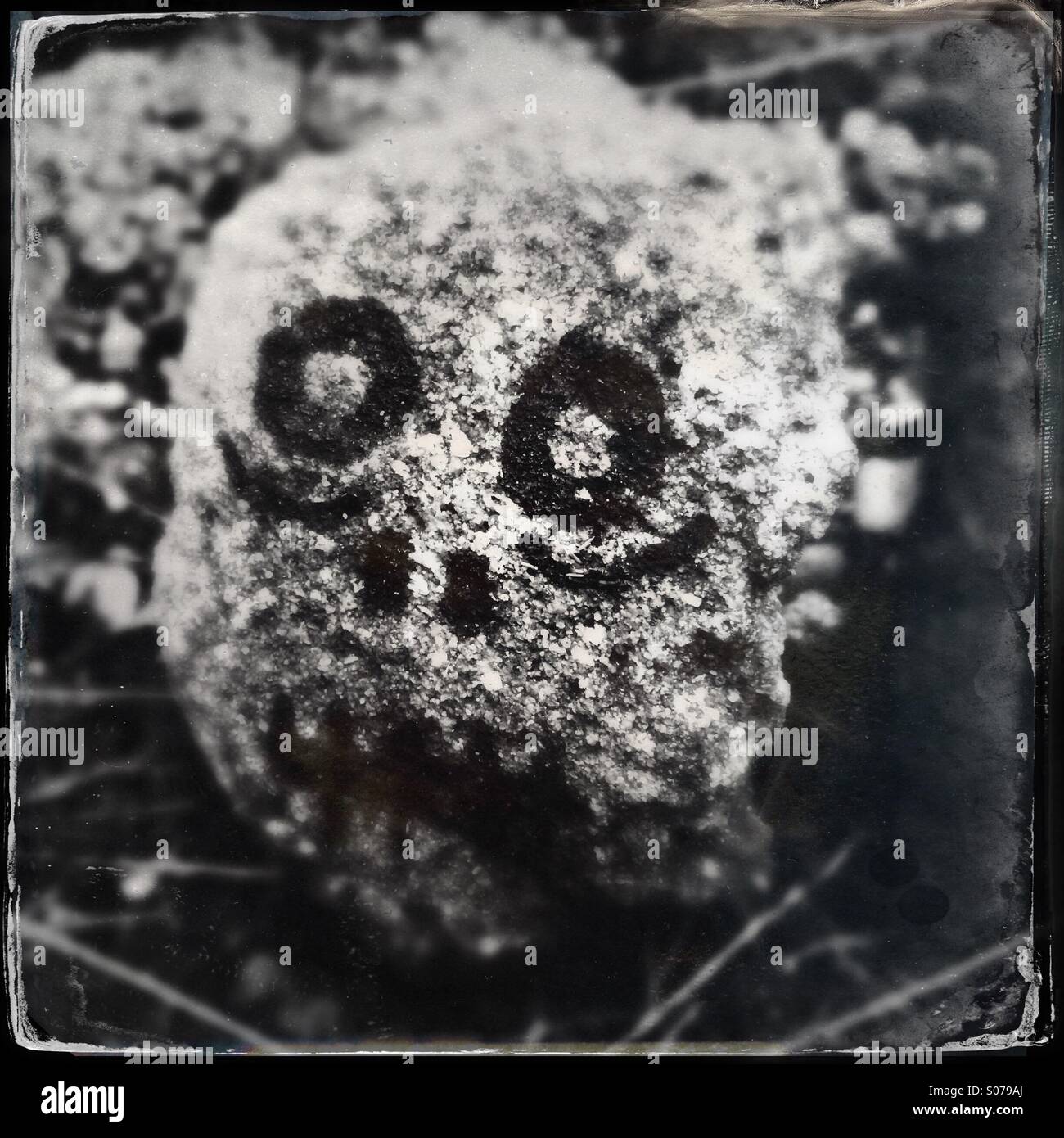 A scary face drawing on a rock - Smartphone Captured Stock Image