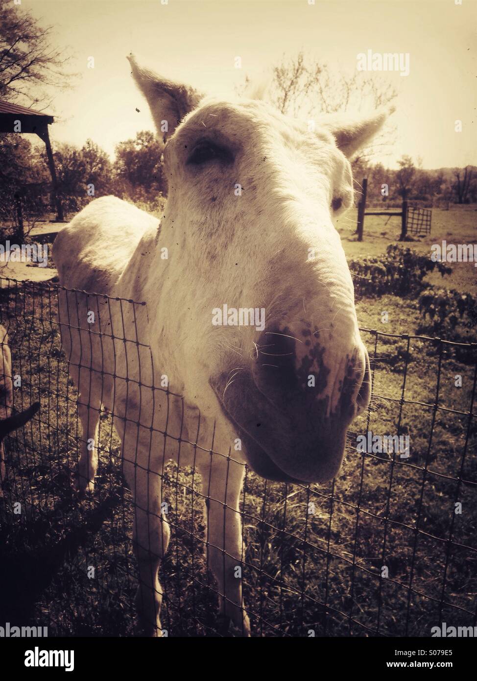 Please feed me. - Smartphone Captured Stock Image