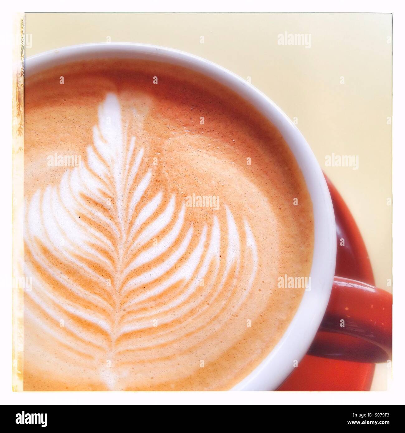 Latte - Smartphone Captured Stock Image