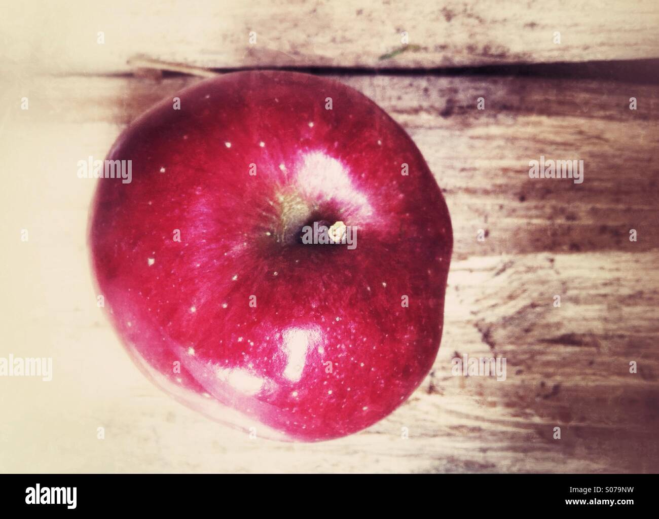 The Forbidden Fruit Stock Photos & The Forbidden Fruit Stock Images Alamy