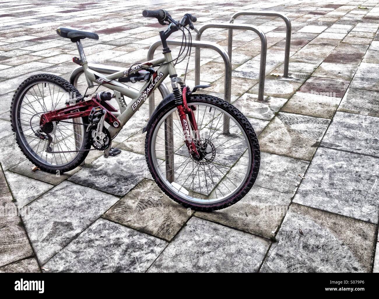 Bike propped up on a bike rack - Smartphone Captured Stock Image