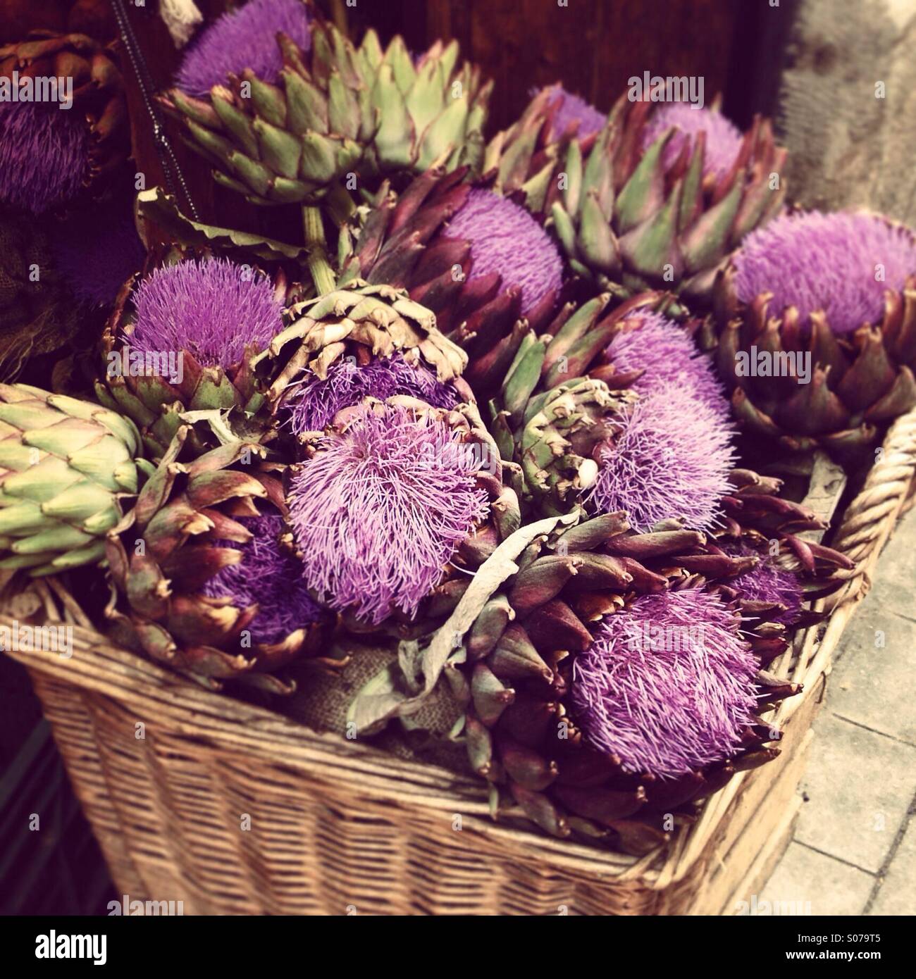 Basket of artichoke flowers, Barcelona, Spain - Smartphone Captured Stock Image