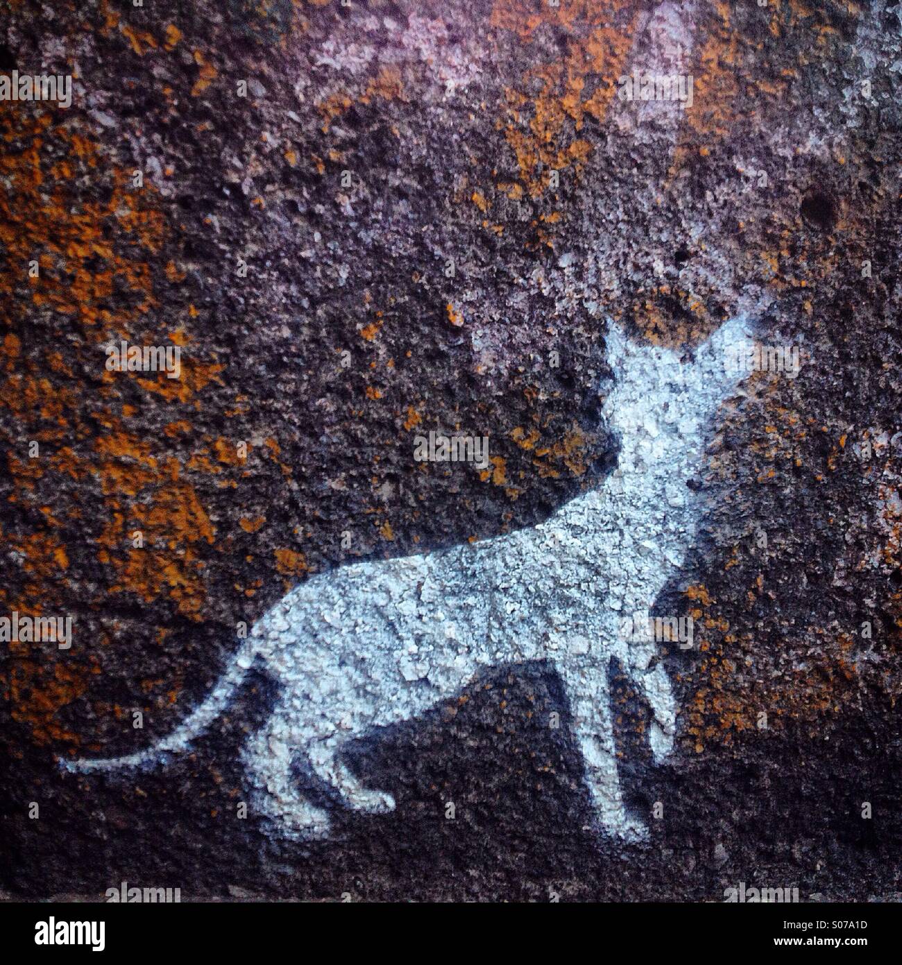 A silhouette of a white cat decorates a wall in Colonia Roma, Mexico City, Mexico - Smartphone Captured Stock Image