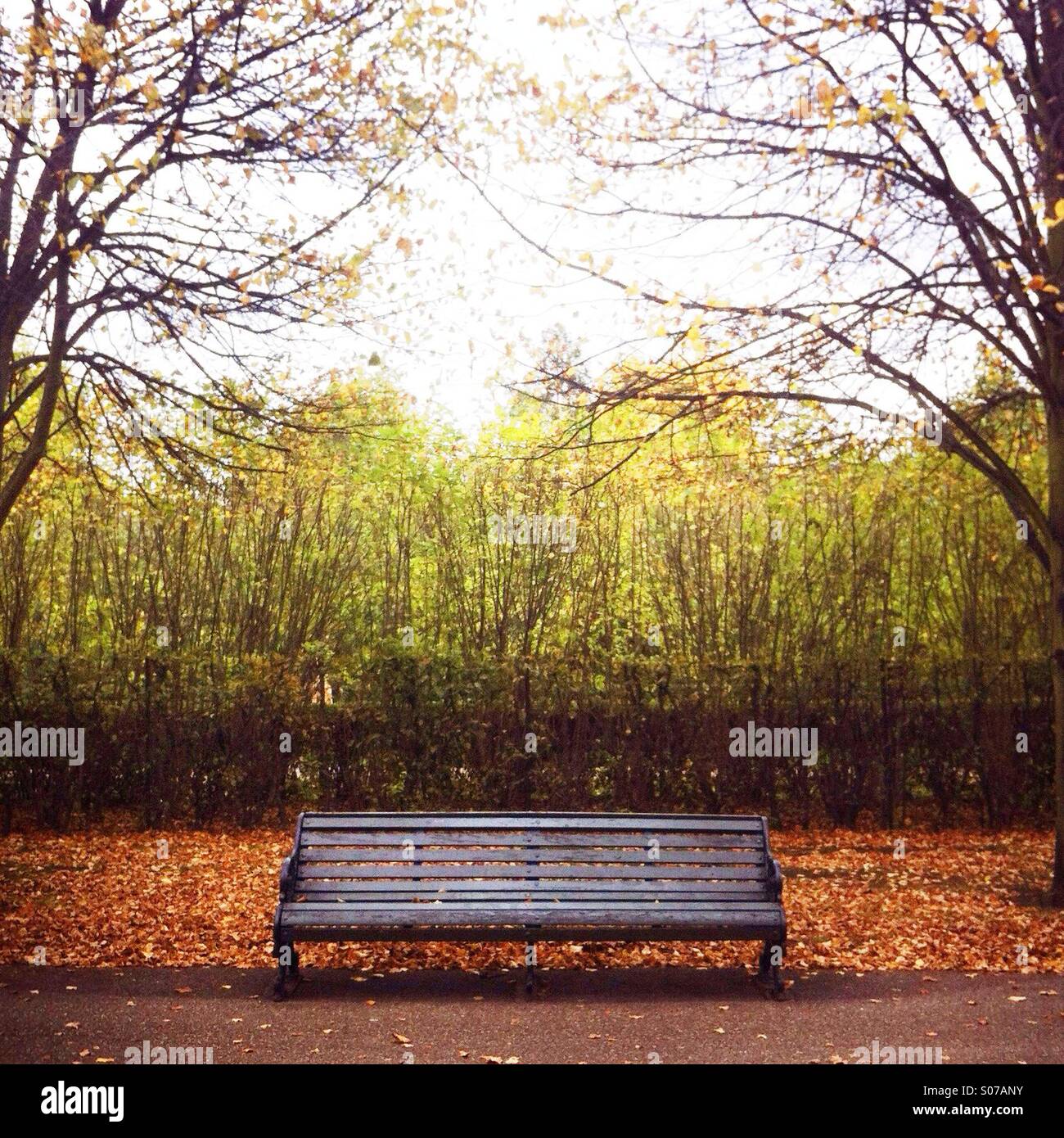Empty park london hi-res stock photography and images - Alamy