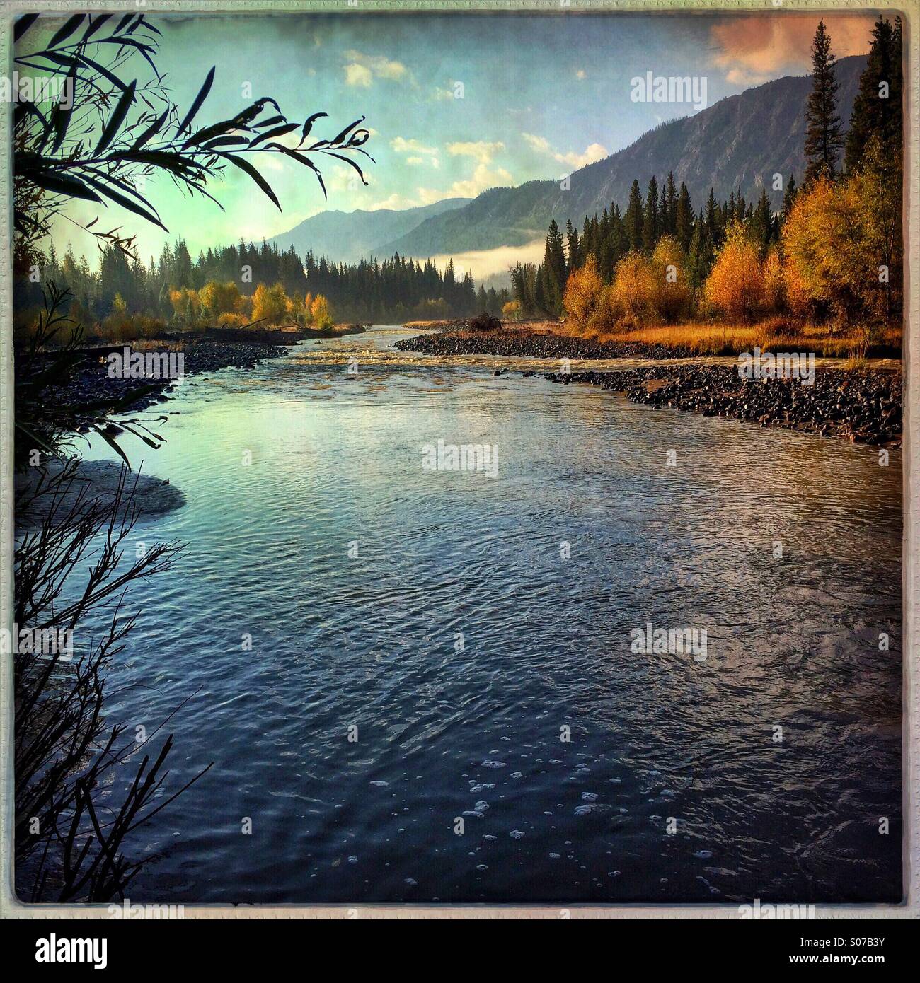 An early autumn morning dawns over the Clark's Fork River in northeastern Wyoming near the border of Yellowstone National Park Stock Photo