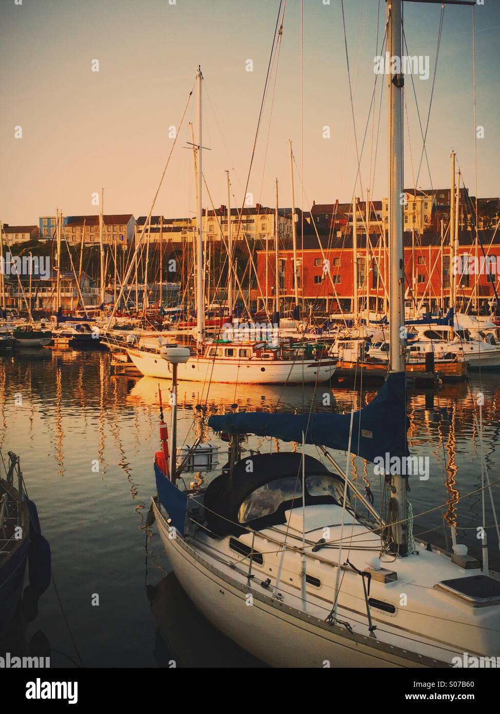 Milford Haven Marina in the evening sun Stock Photo Alamy