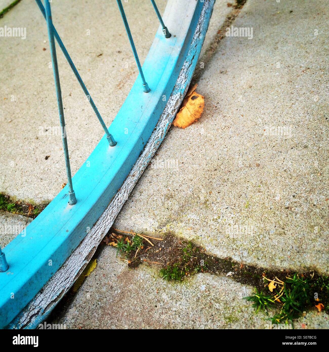 Flat bicycle tire on street during autumn Stock Photo