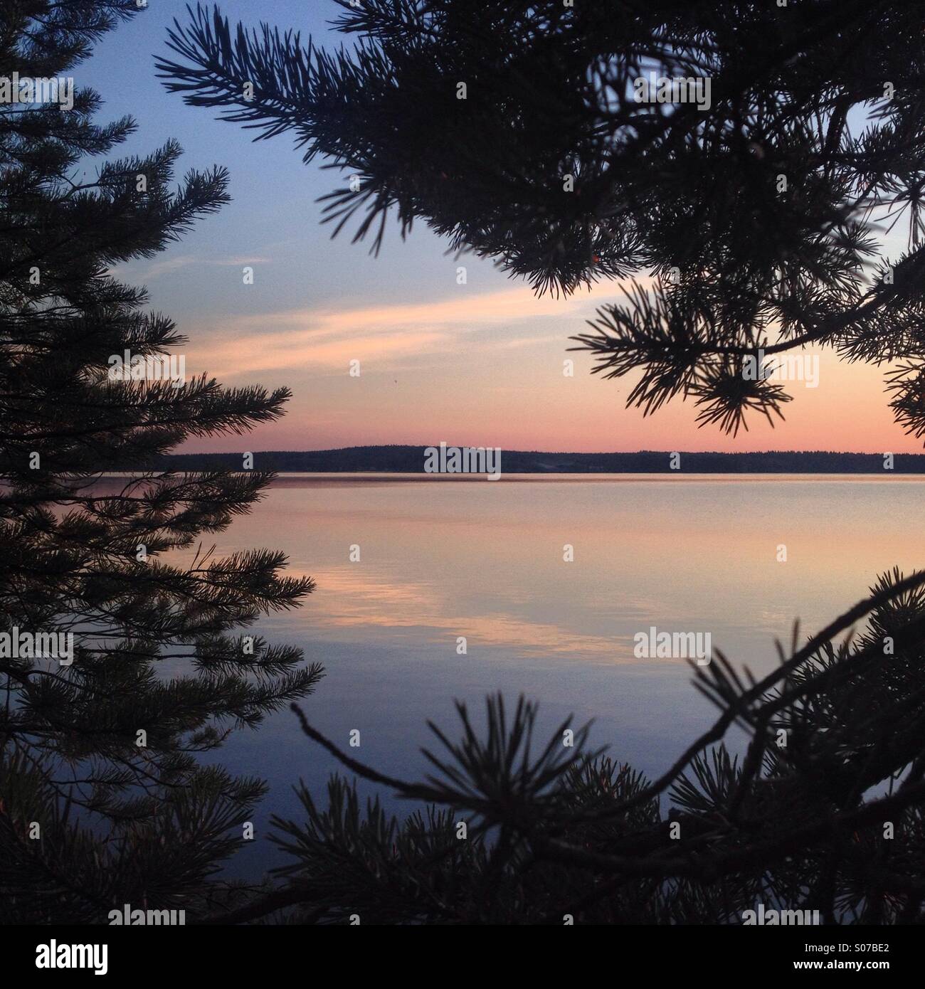 Midnight sun in a forest at an Arctic Nordic lake in Northern Finland during summer - Smartphone Captured Stock Image