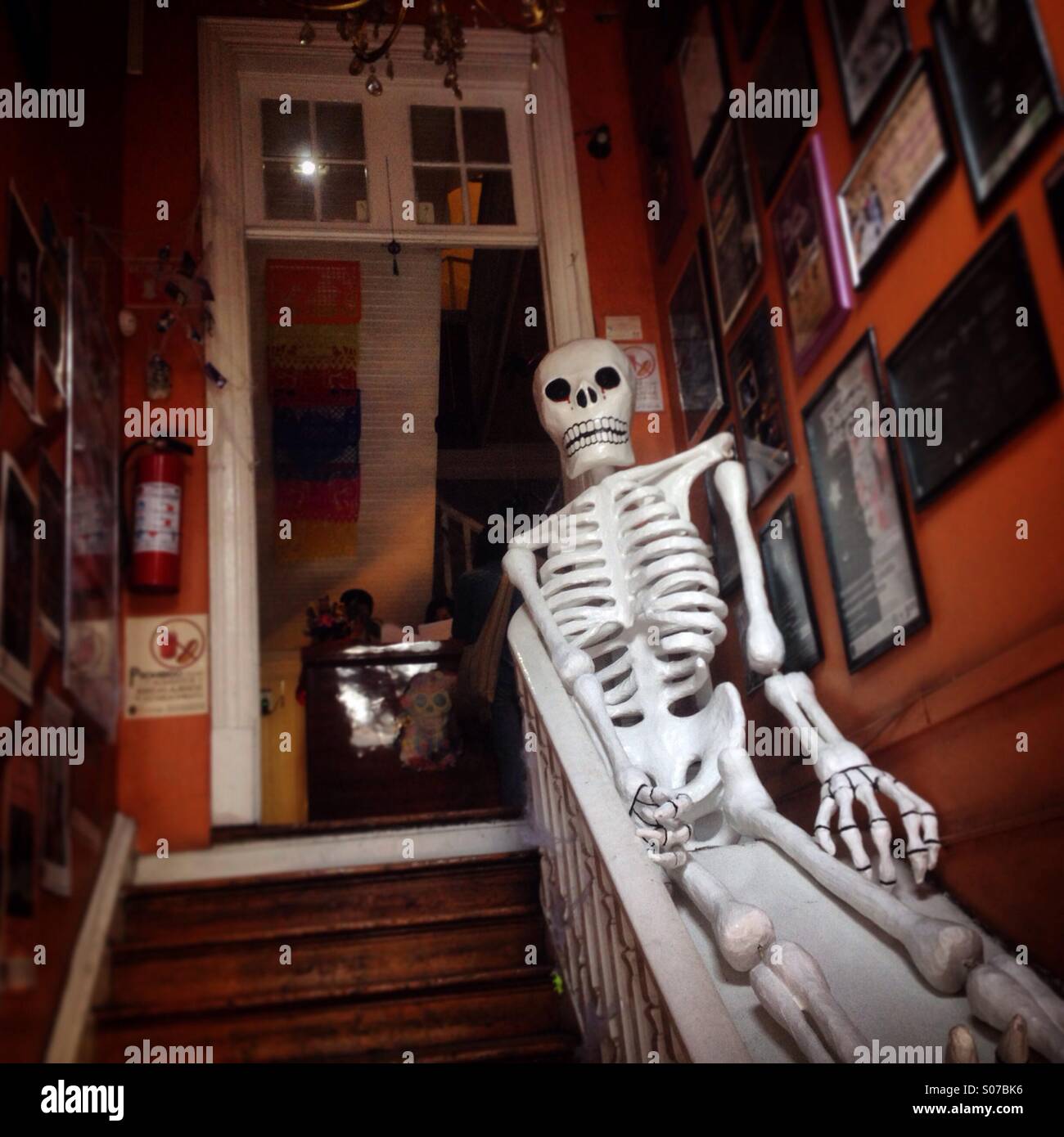 A skeleton of a giant man decorates the Centro de la Diversidad in Colonia Roma, Mexico City, Mexico - Smartphone Captured Stock Image