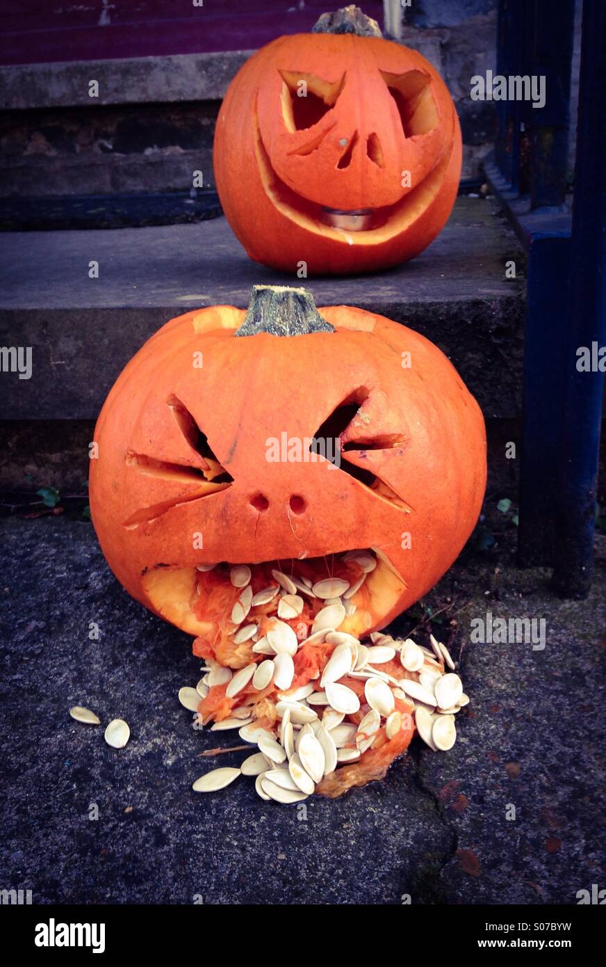 Vomiting pumpkins, Cambridge Stock Photo