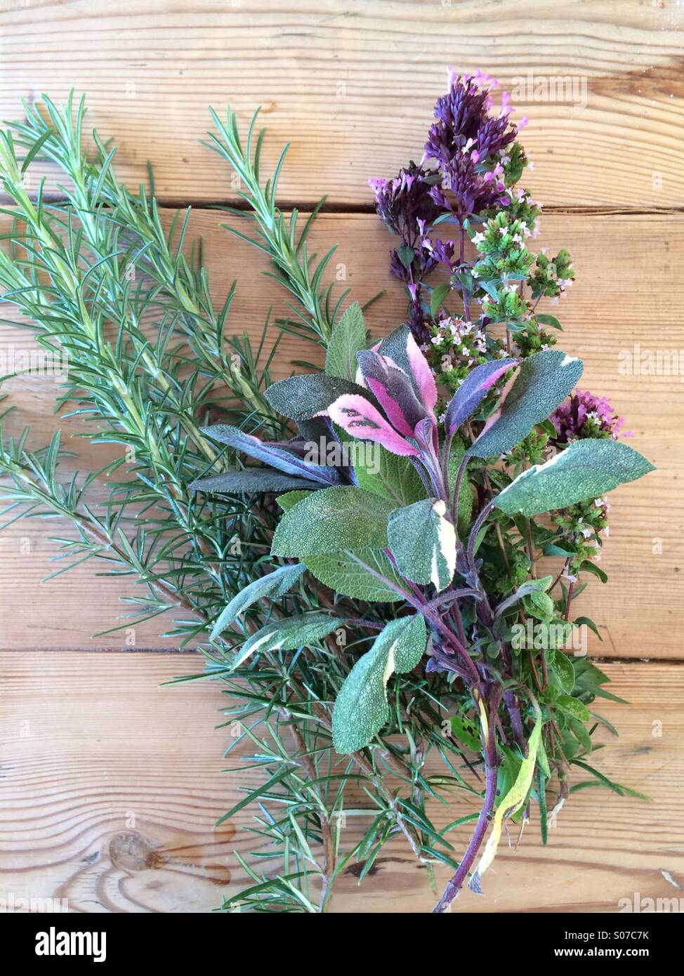 Herb bouquet - Smartphone Captured Stock Image