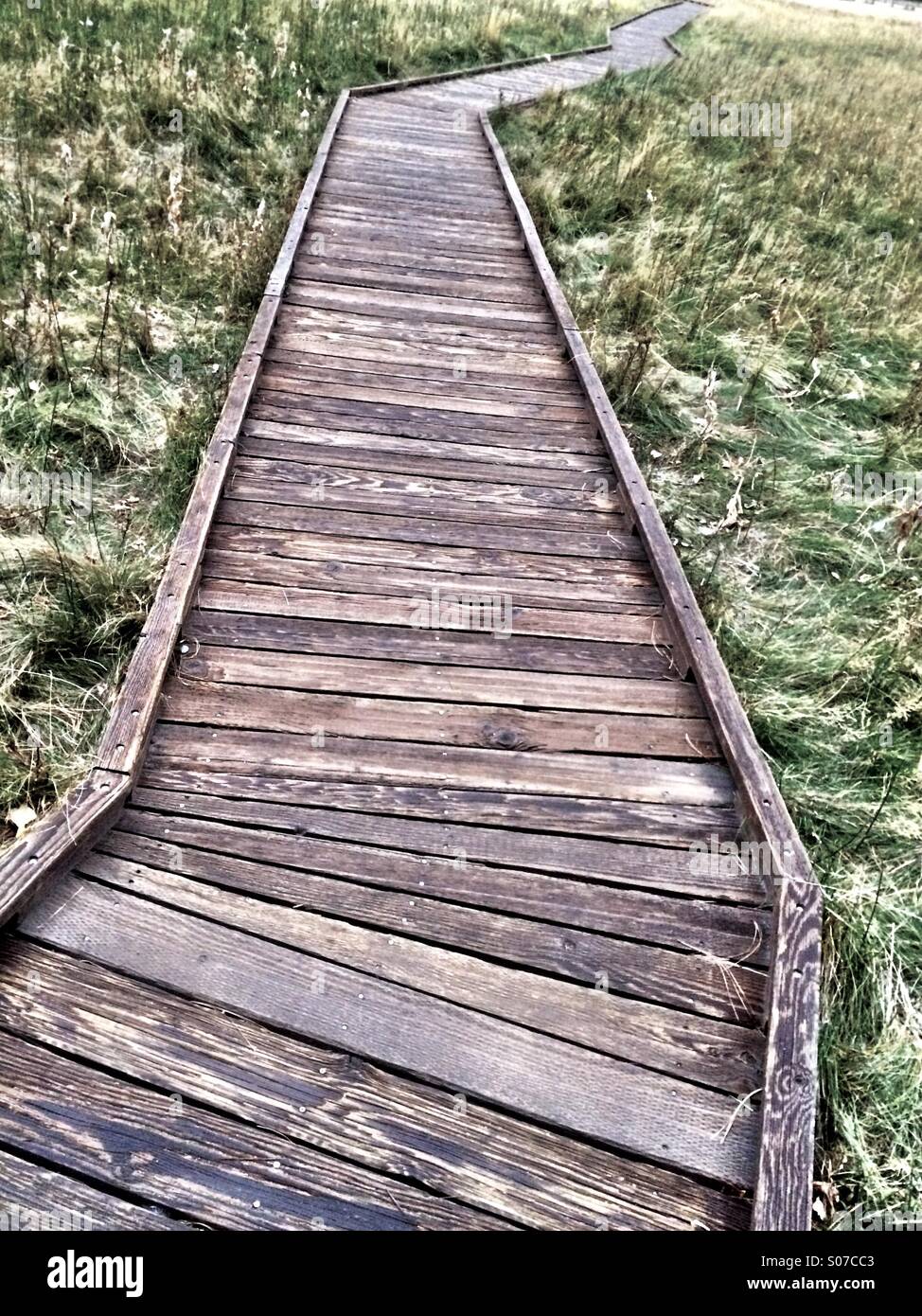 Boardwalk through meadow, Yosemite National Park, California - Smartphone Captured Stock Image