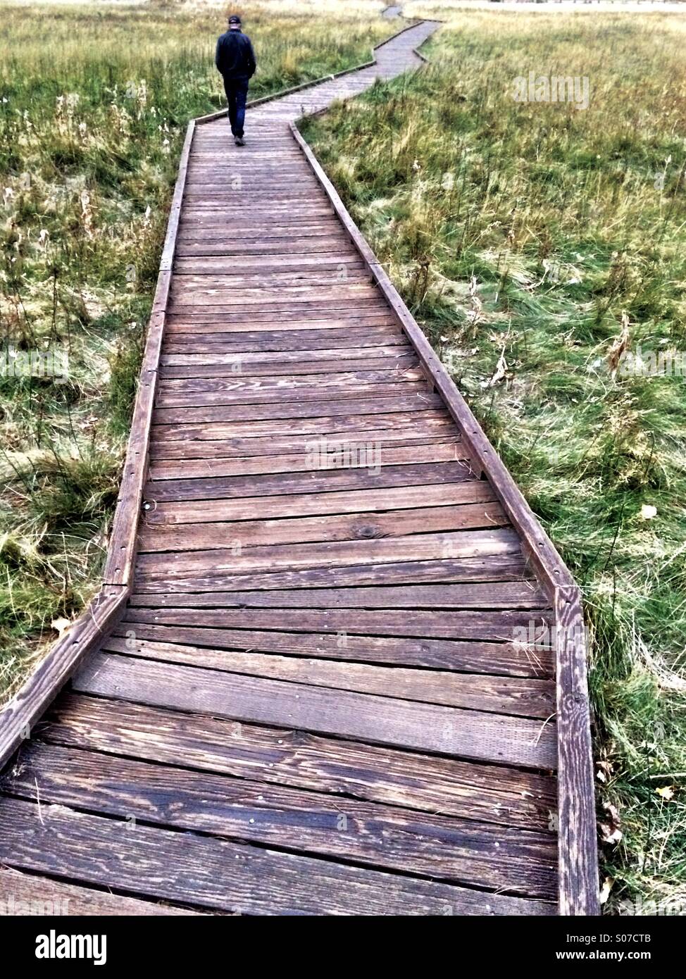 Man on Boardwalk walking through meadow, Yosemite National Park, California - Smartphone Captured Stock Image