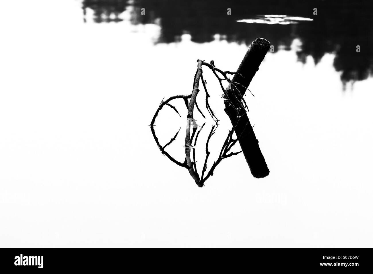Pole in still water in black and white Stock Photo - Alamy