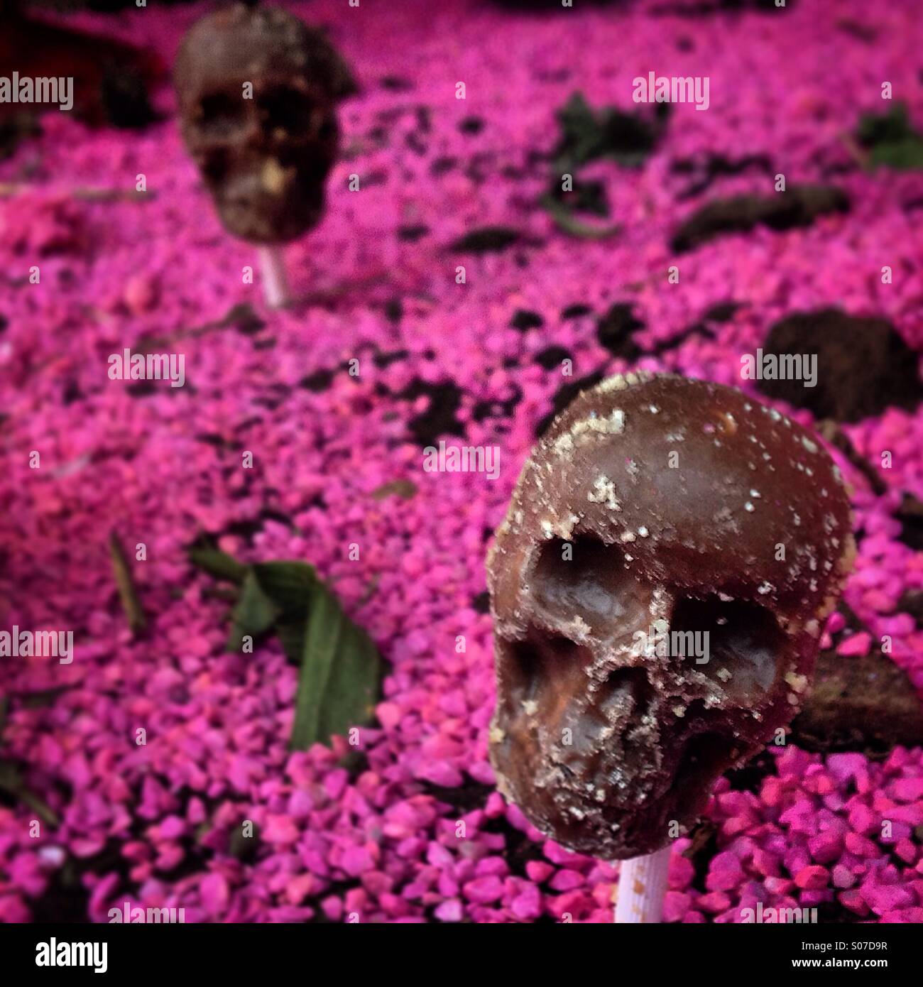 Chocolate skulls decorate a pink tomb of a child during Day of the Dead celebrations in San Gregorio Atlapulco in Xochimilco, Mexico City, Mexico Stock Photo