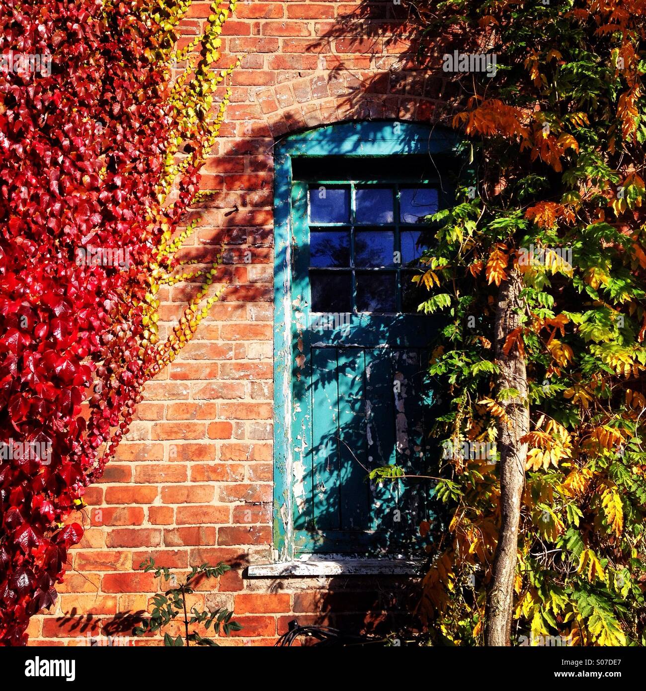 Autumn colour with door Stock Photo