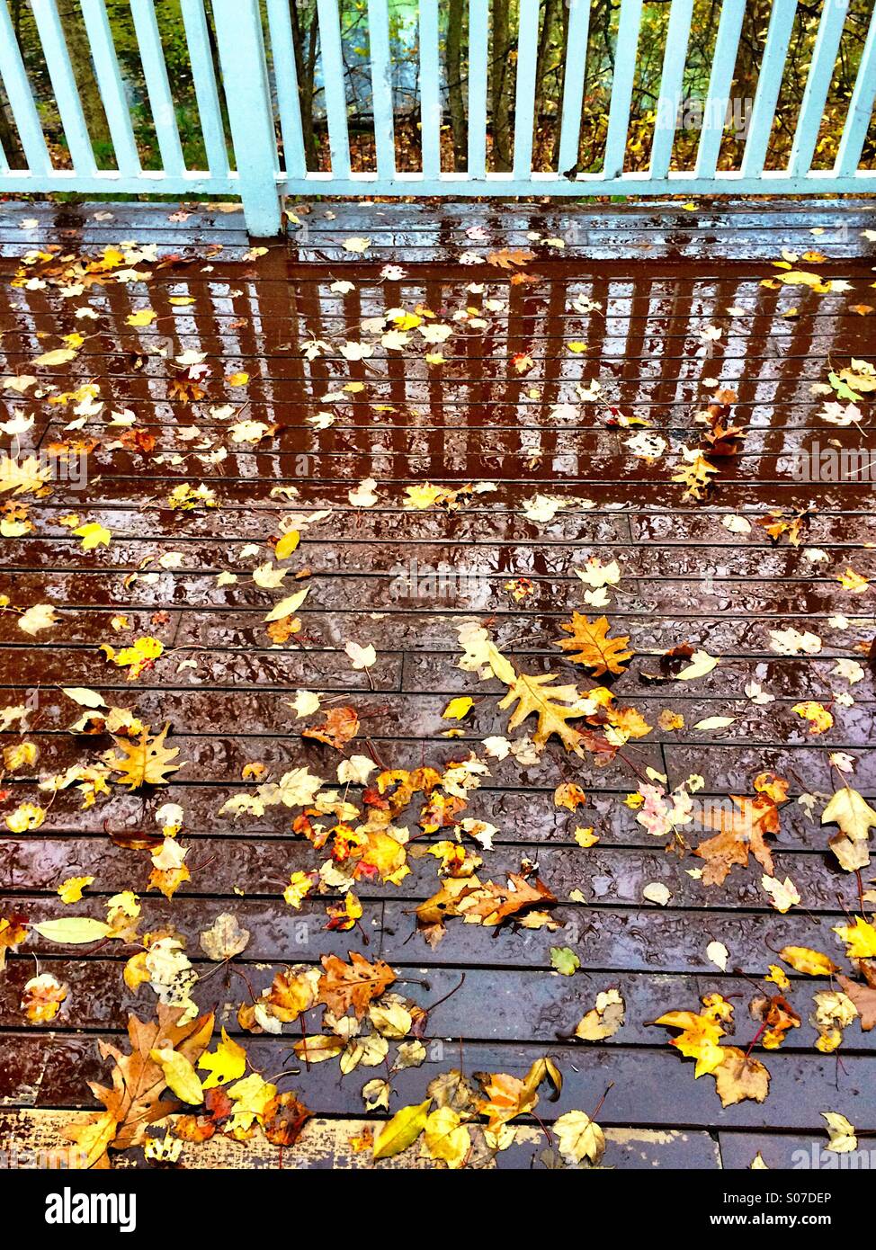 Wet porch in the fall with leaves and railing Stock Photo Alamy