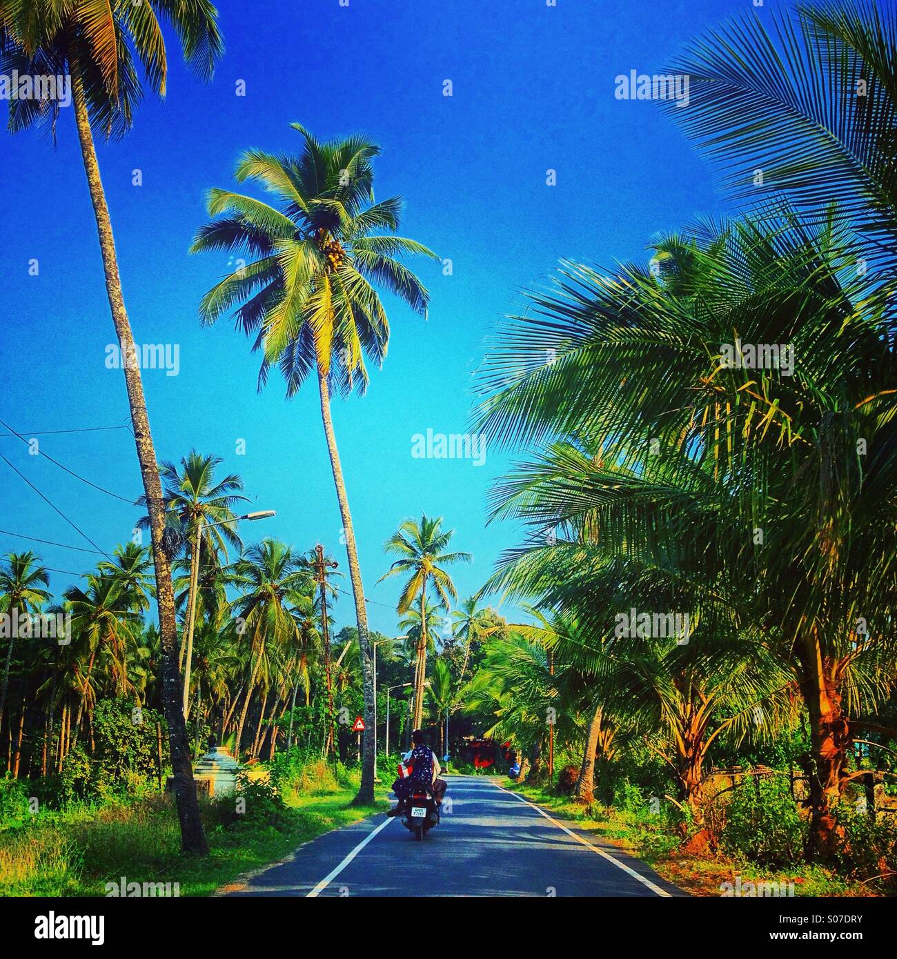 A scenic drive in goa Stock Photo Alamy