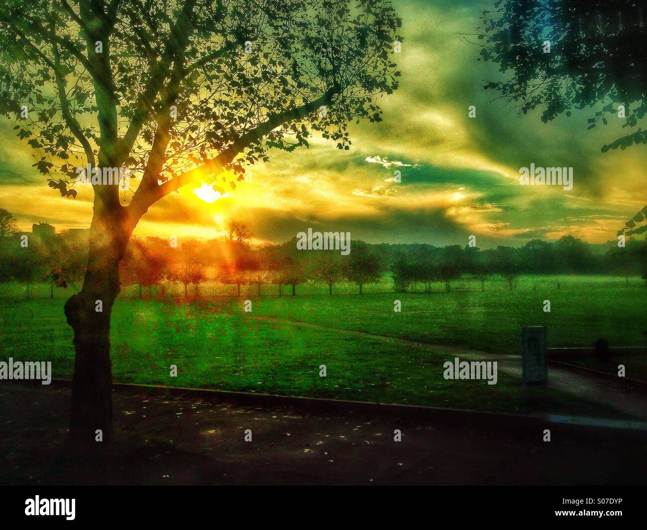 Misty morning in Peckham Rye - Smartphone Captured Stock Image