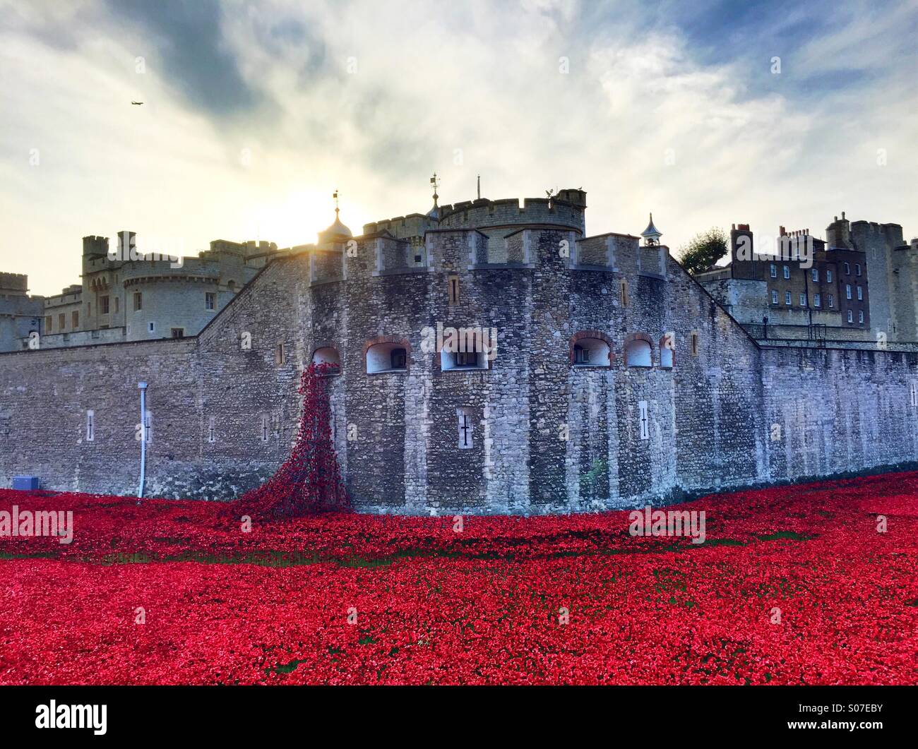 Poppy london tower hi-res stock photography and images - Alamy