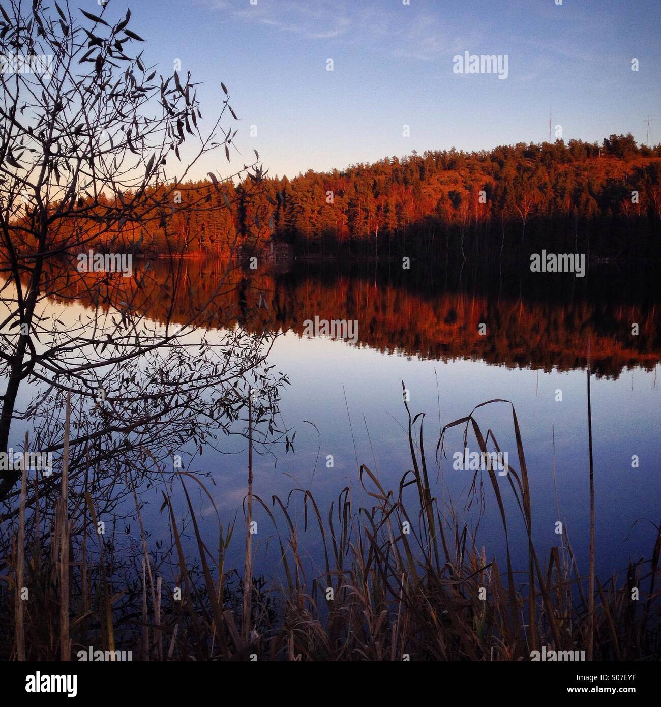 Autumn in the beautiful 6000 island archipelago of Åland in Finland in the Baltic Sea. A top destination for Nordic holidaymakers - Smartphone Captured Stock Image