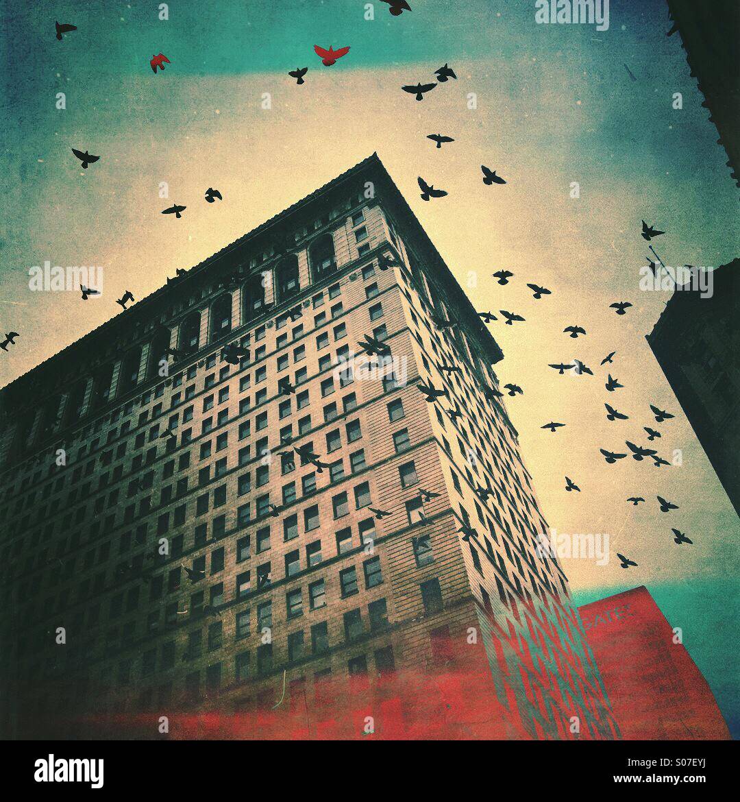 An abstract image of a flock of birds flying between urban buildings. Stock Photo