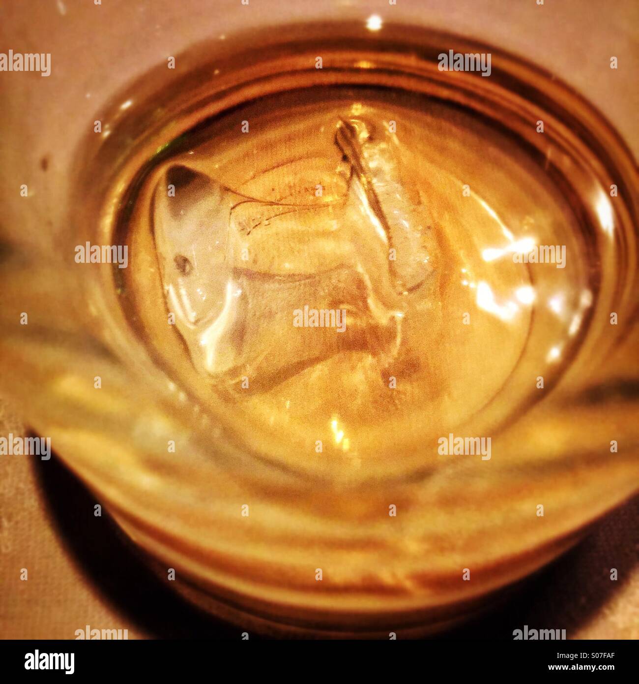 Scotch on the rocks, a single ice cube in a glass of whiskey - Smartphone Captured Stock Image