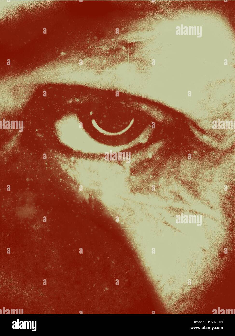 Male eye looking up close up smartphone stock photos and images - Alamy