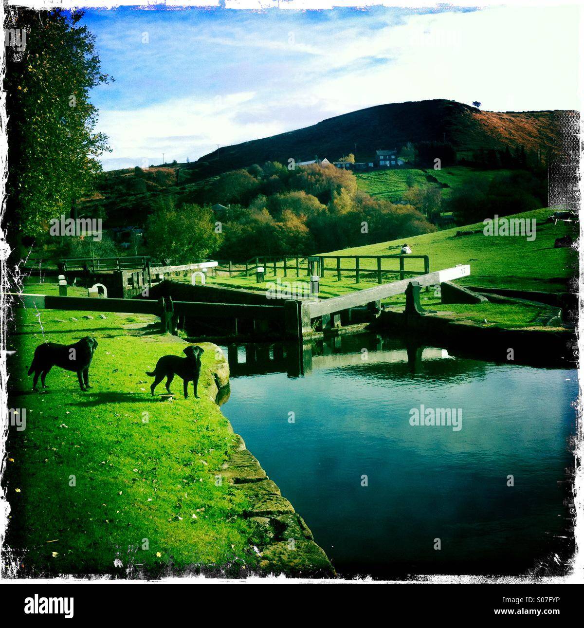 Todmorden canal walk hires stock photography and images Alamy