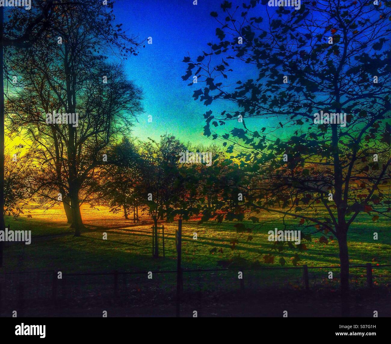Autumn colour in the park Stock Photo - Alamy