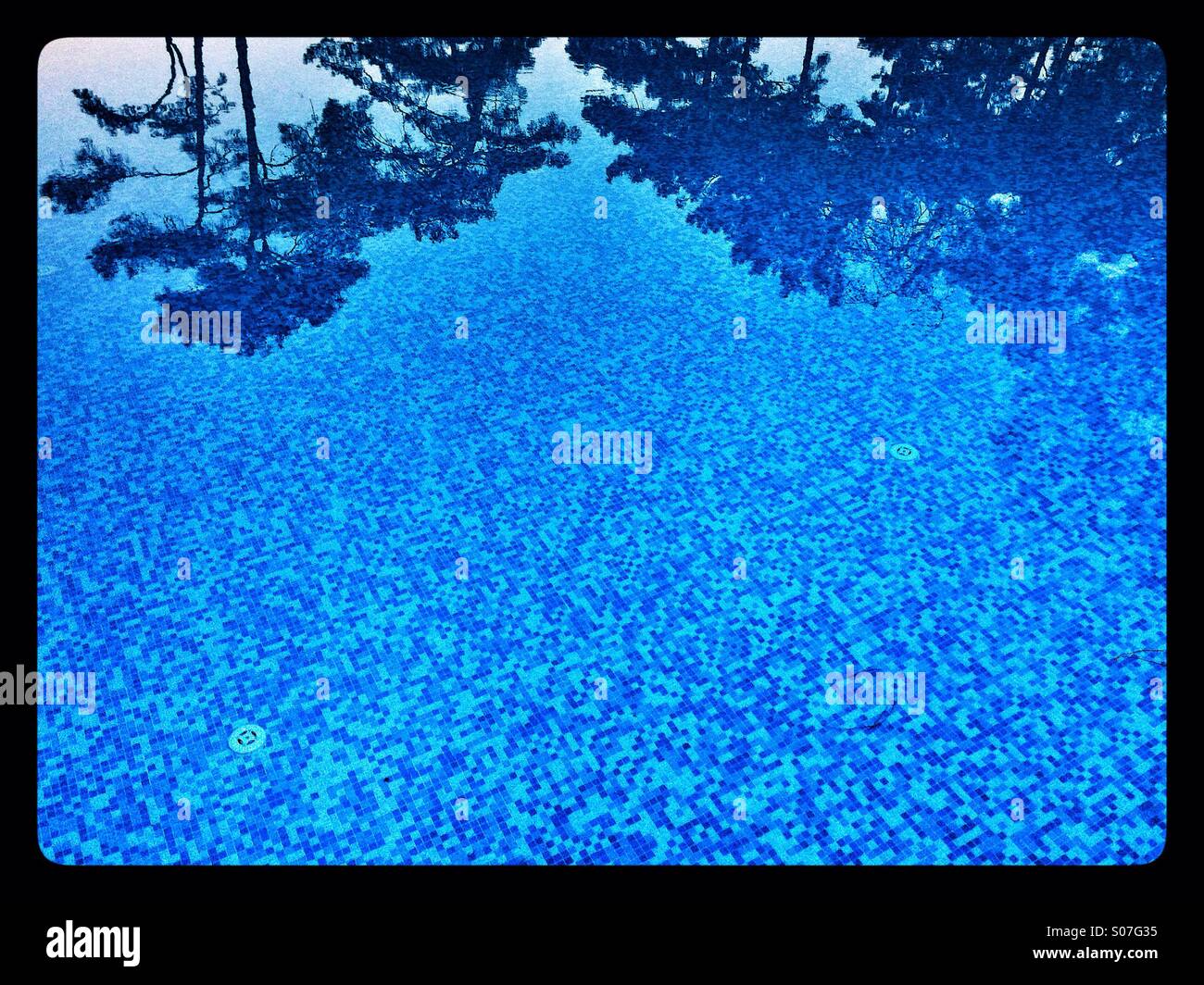 A Group of Trees Reflected in a Swimming Pool. A view of blue mosaic tiles in a calm and clear Swimming Pool. Photo Credit - © COLIN HOSKINS. - Smartphone Captured Stock Image