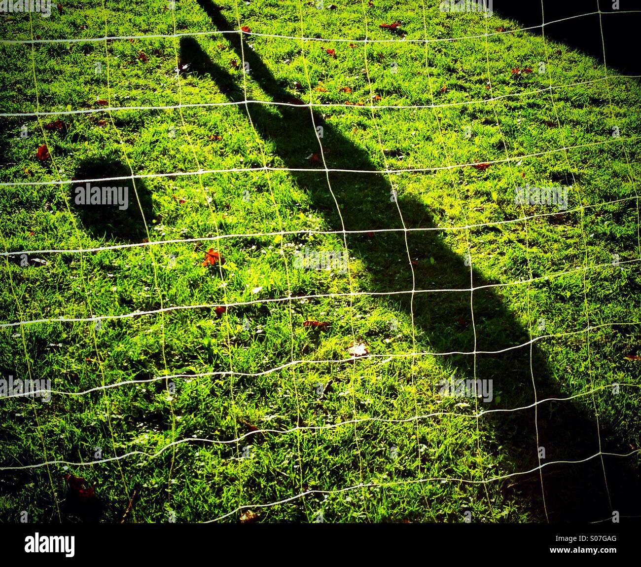 Child kicking ball into soccer net hires stock photography and images