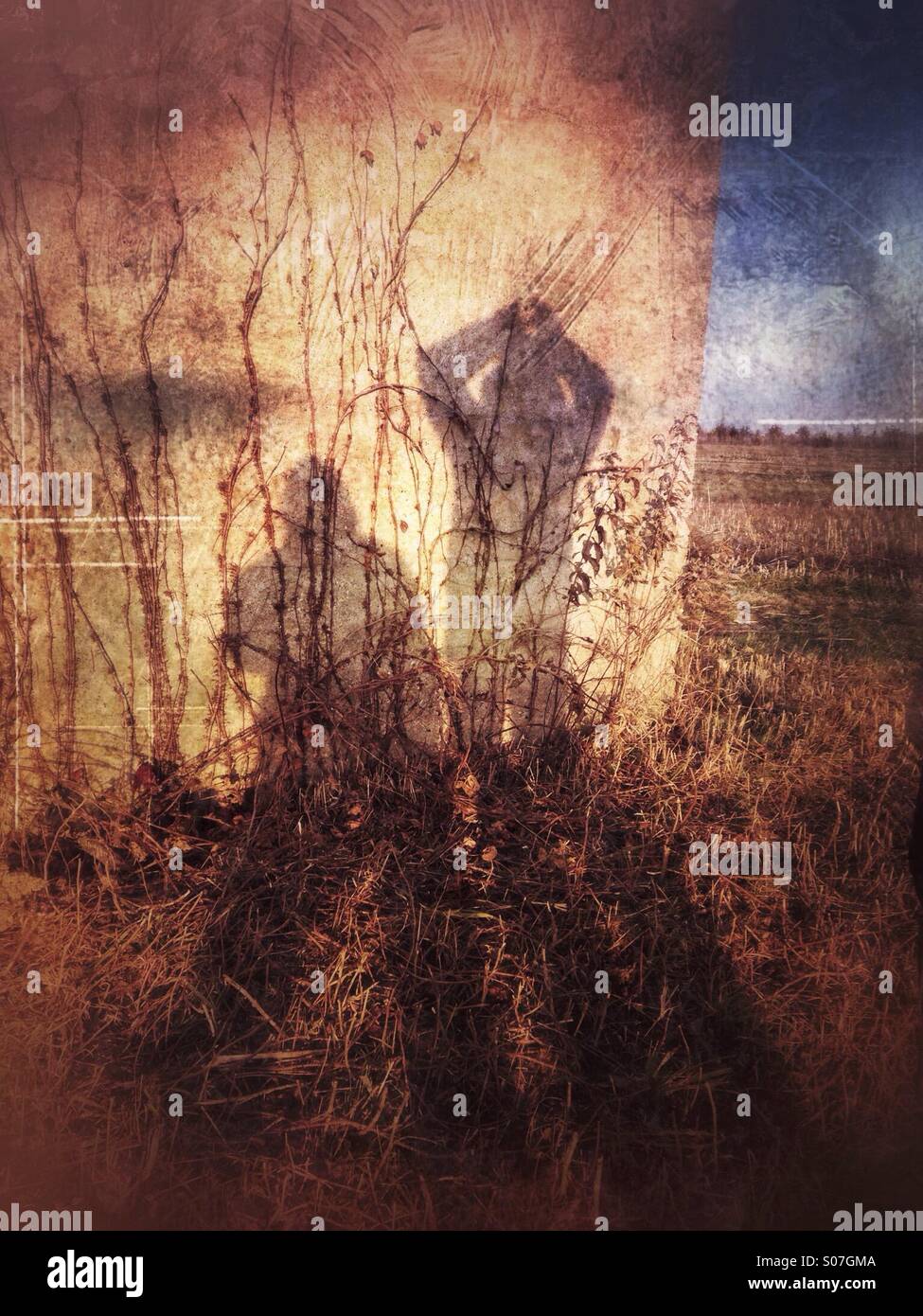 Shadow play. - Smartphone Captured Stock Image