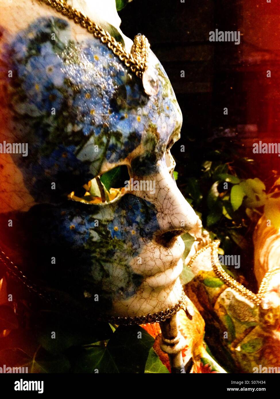 Mask for Mardi Gras in Venice - Smartphone Captured Stock Image