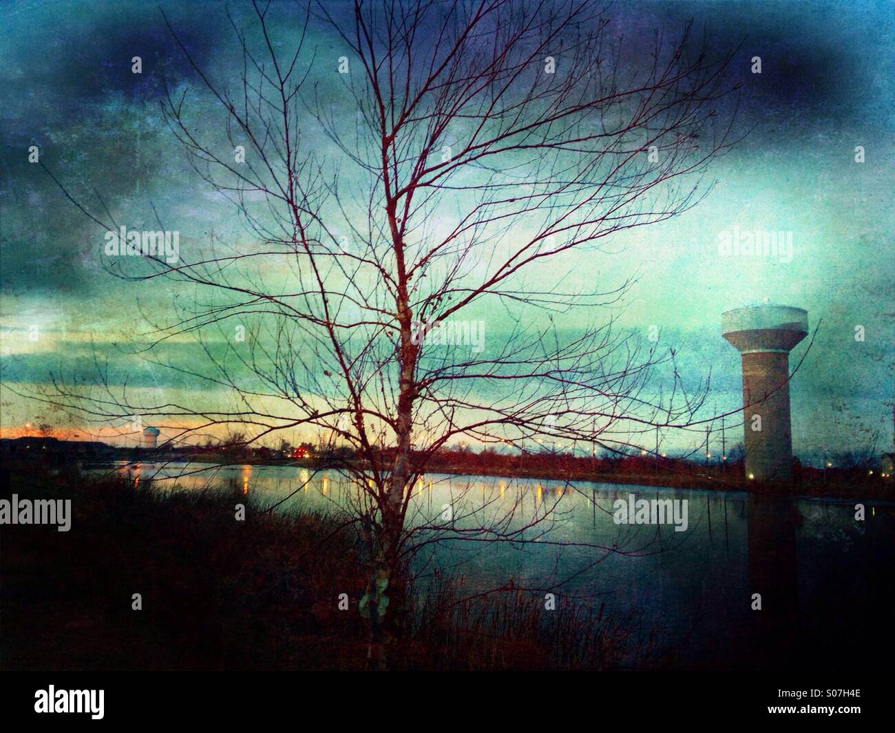 A tree in the night. - Smartphone Captured Stock Image