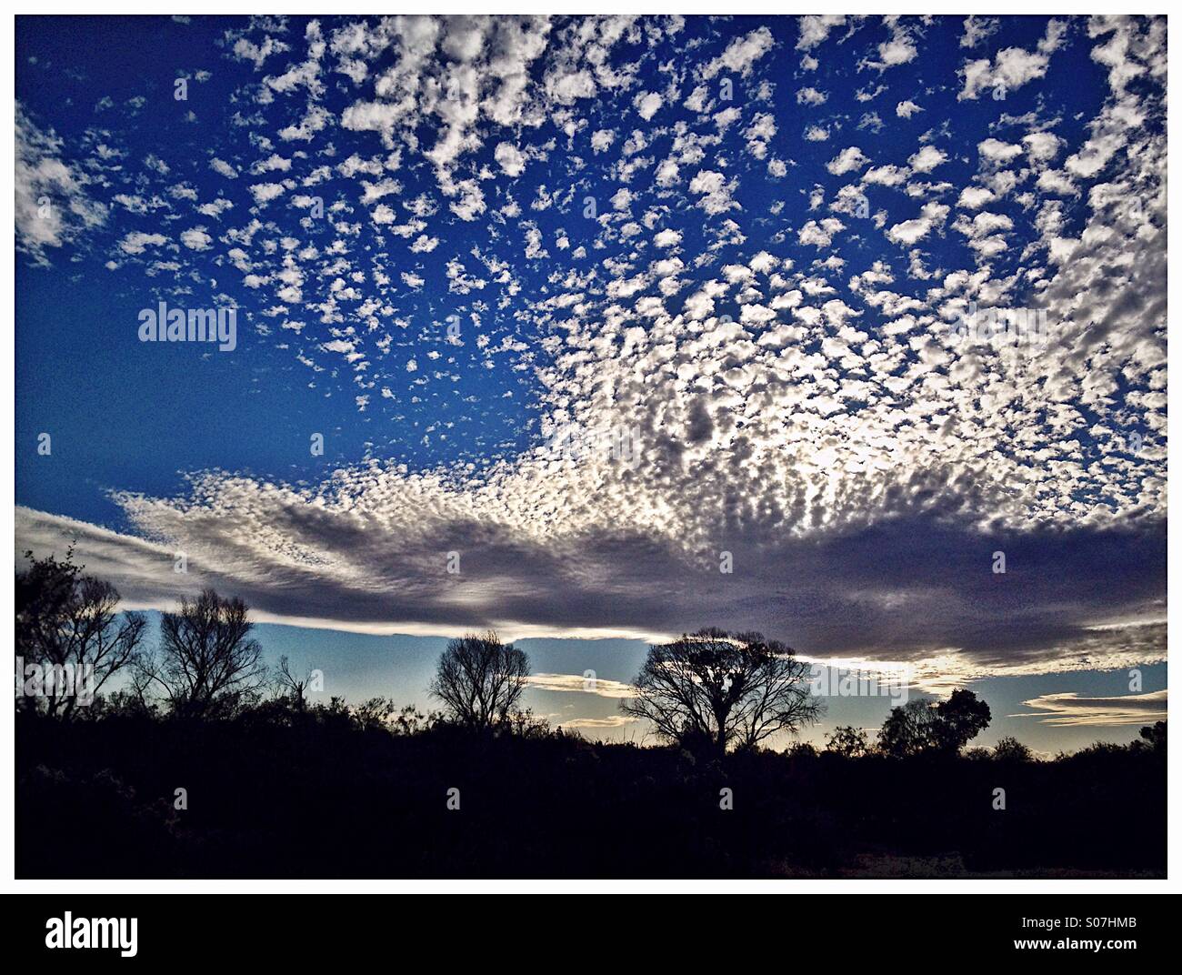 White clouds in a blue sky silhouettes trees. - Smartphone Captured Stock Image