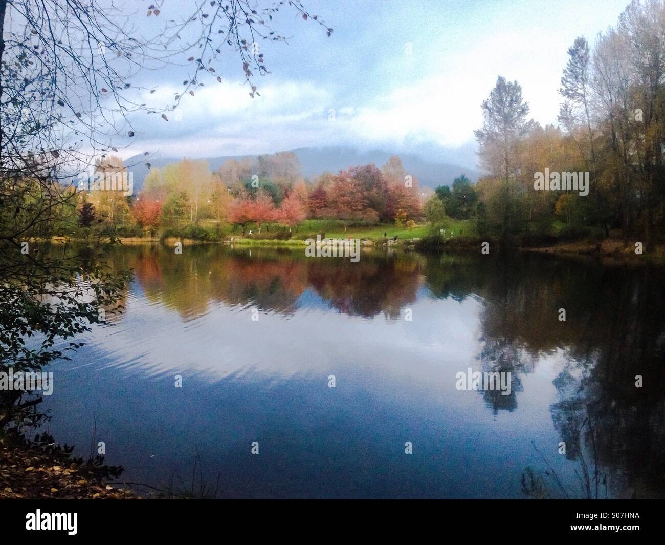 Autumn colors are reflected by the calm lake. - Smartphone Captured Stock Image