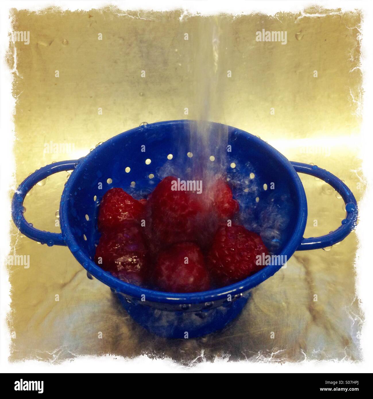Raspberries being washed in a small blue colander. - Smartphone Captured Stock Image