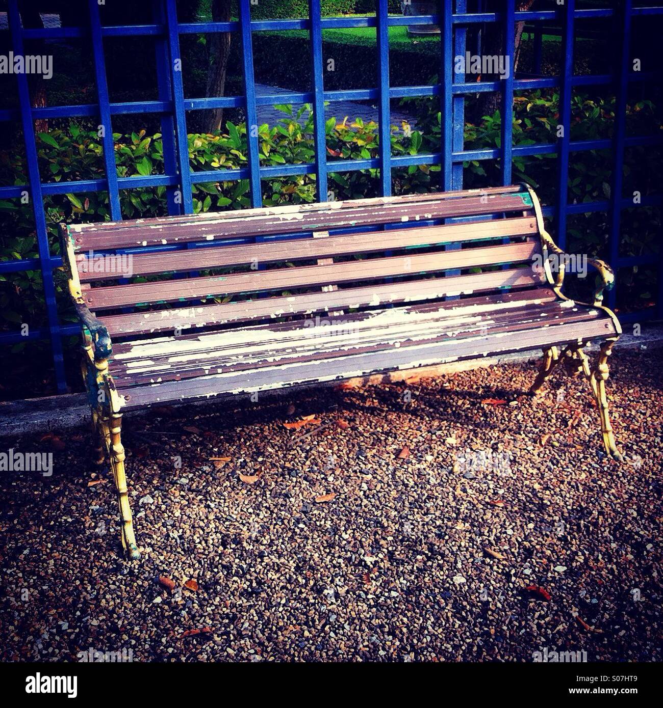 Outdoor empty brnch in a public park - Smartphone Captured Stock Image