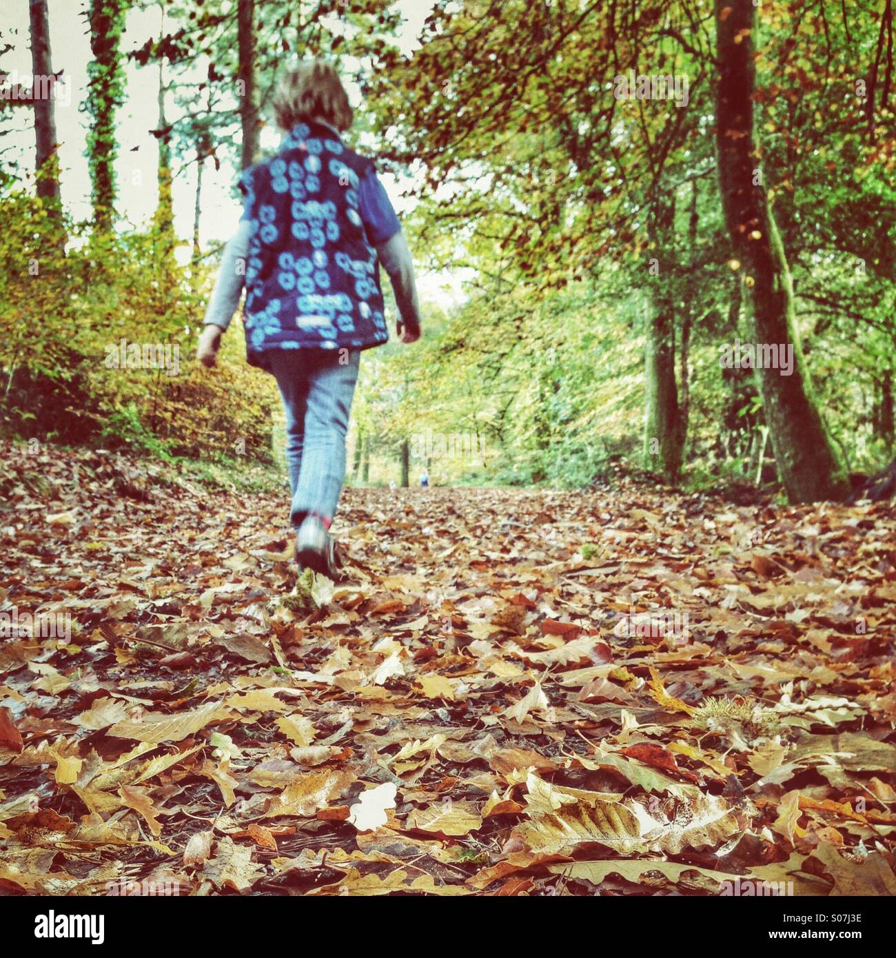 Walking through fallen leaves Stock Photo Alamy