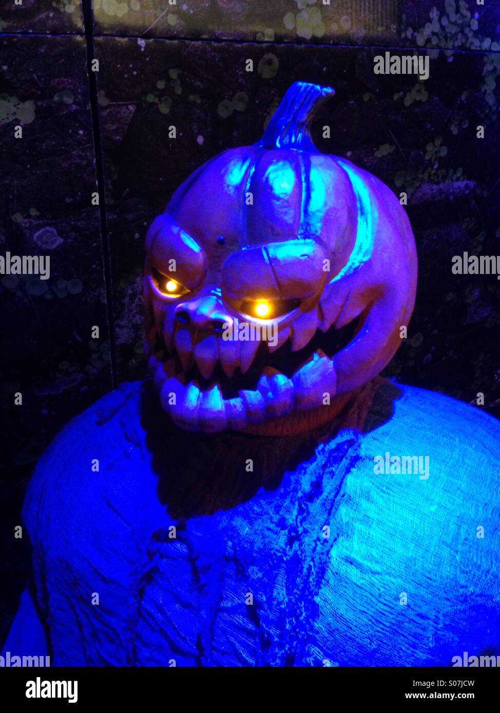 Hallow decor in store - Smartphone Captured Stock Image