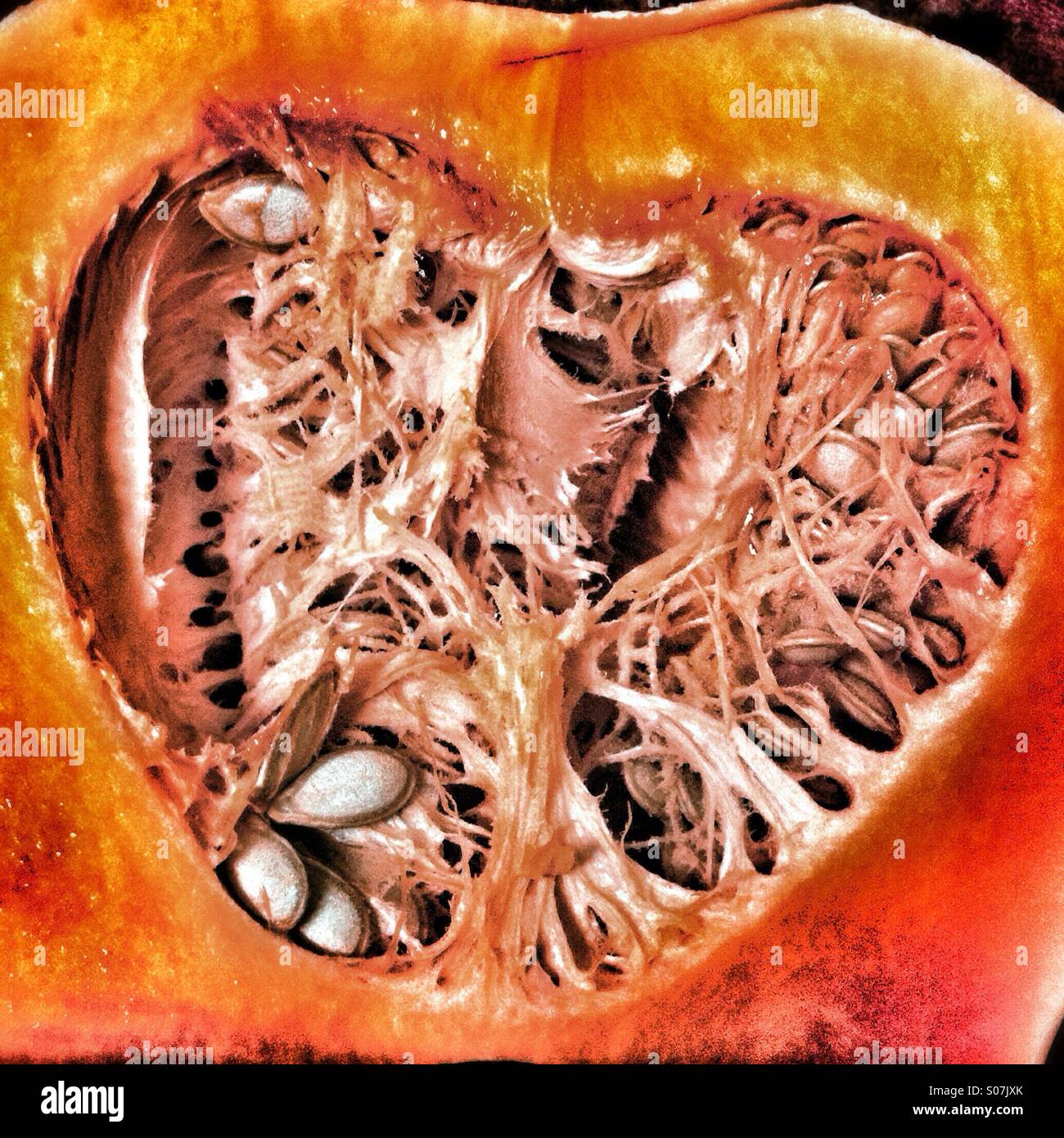 Insides of a butternut squash looking like a dissected, broken heart Stock Photo