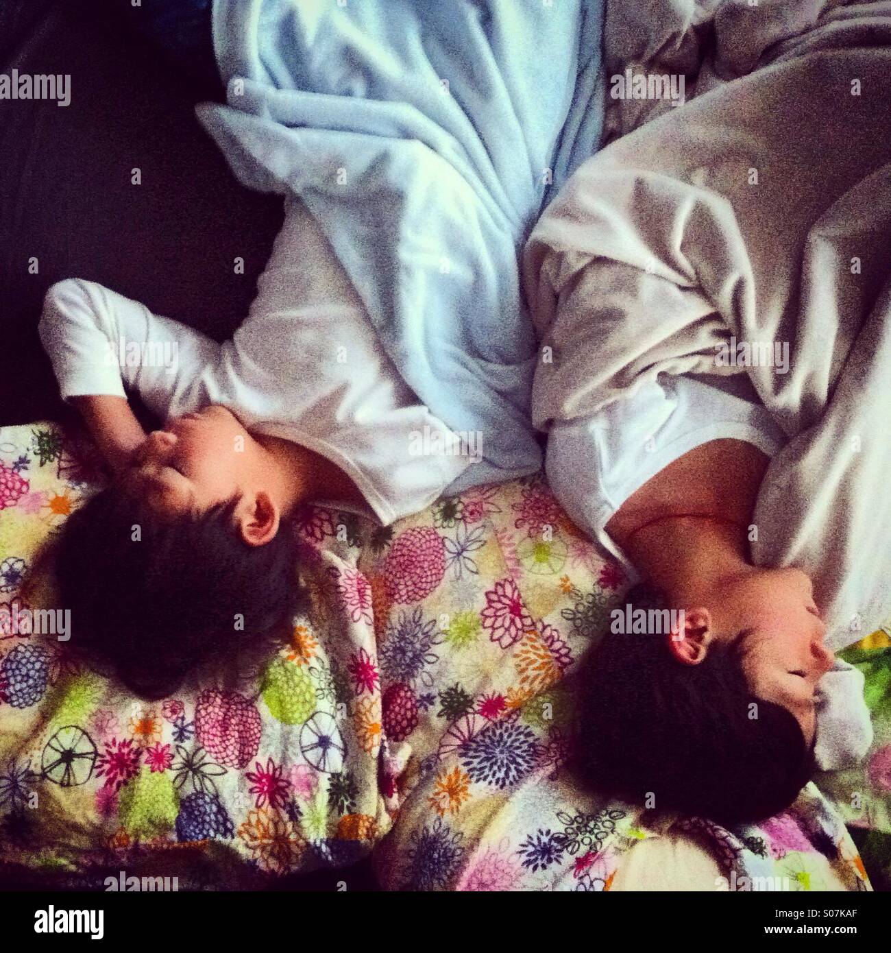 Sleeping upside down hires stock photography and images Alamy