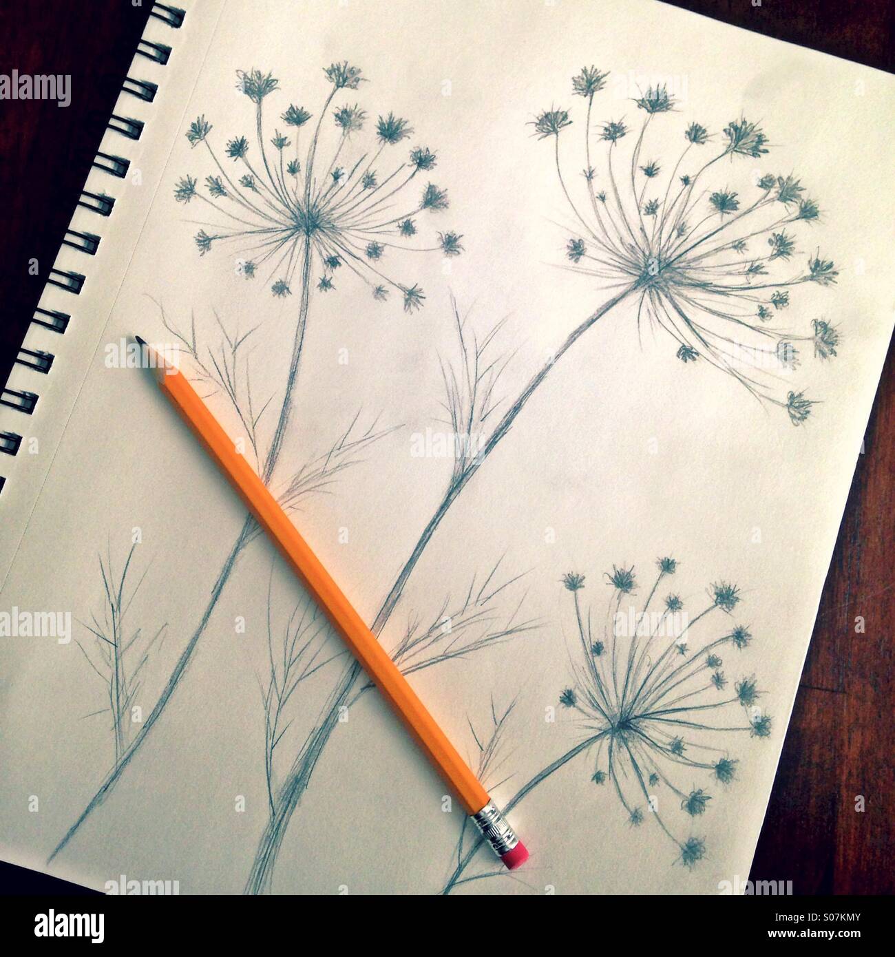 Sketch of flowers Stock Photo - Alamy