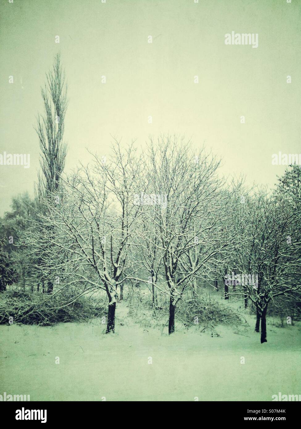 A snow scene - Smartphone Captured Stock Image