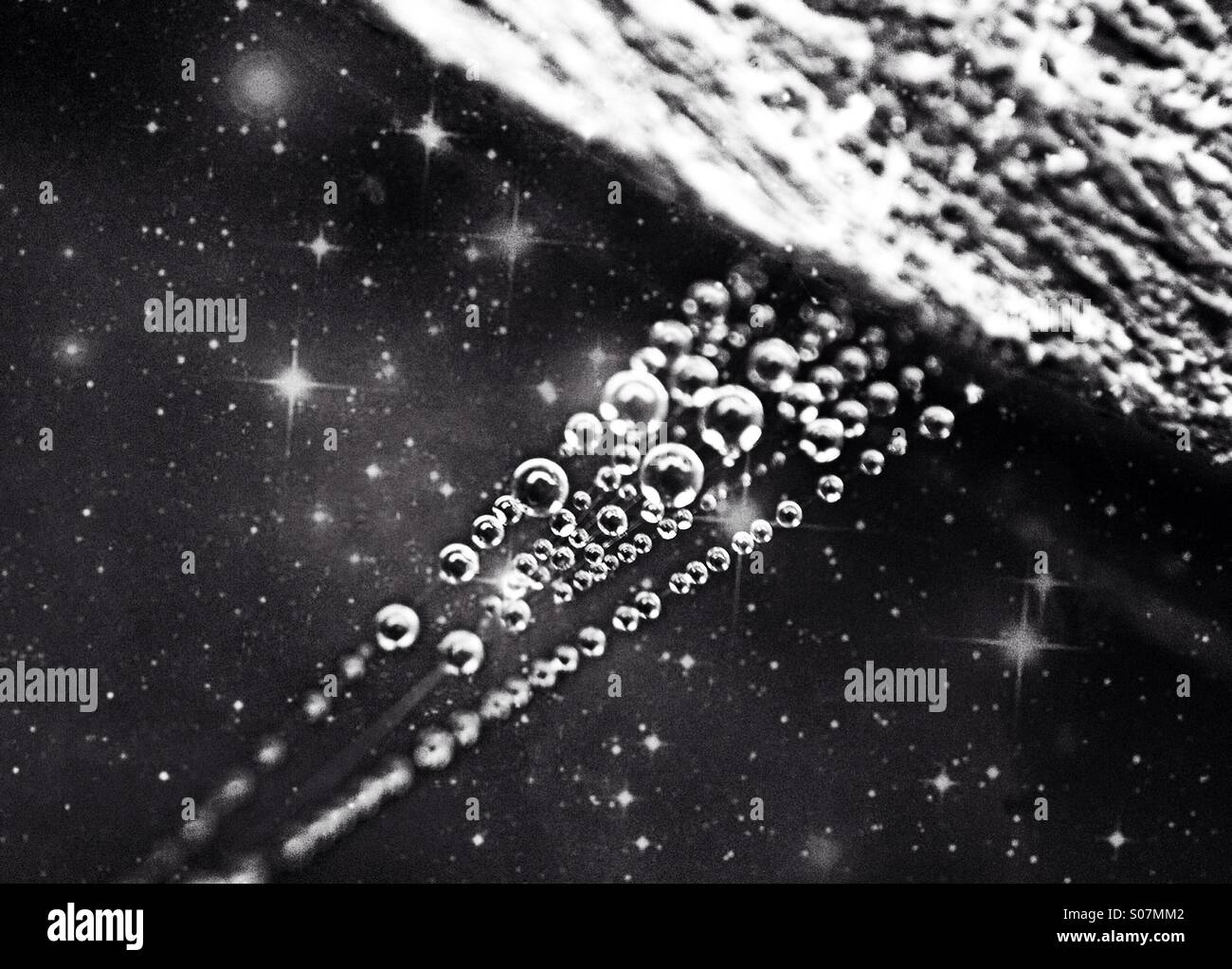 Dew covered cobweb - Smartphone Captured Stock Image